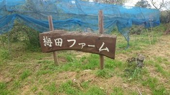 梅田ファーム看板